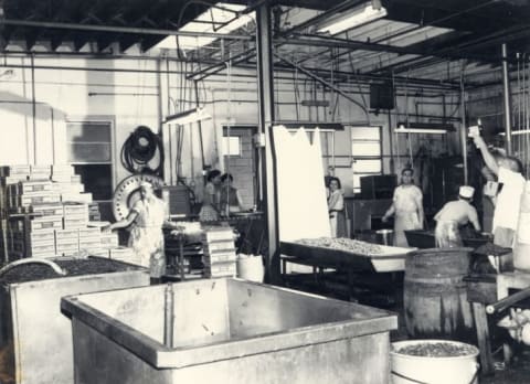 Italian peppers arriving at the Uddo and Taormina factory in Vineland, New Jersey circa 1940