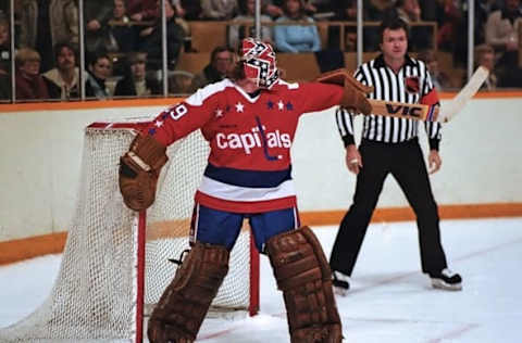 Mike Palmateer #29 of the Washington Capitals (Photo by Graig Abel Collection/Getty Images)