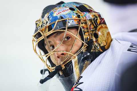 Vegas Golden Knights goaltender Marc-Andre Fleury (29) during the warmup period. Mandatory Credit: Sergei Belski-USA TODAY Sports