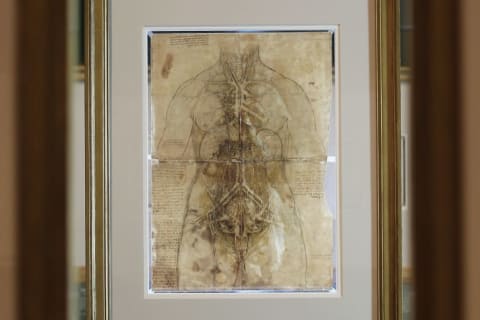 A Leonardo da Vinci drawing, dated 1509-10, of a woman's cardiovascular system.