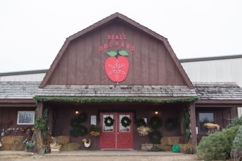 The exterior of Deal's Orchard.