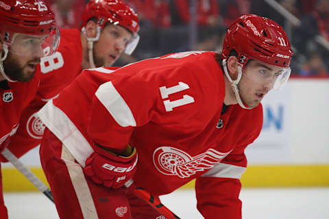 Filip Zadina #11 of the Detroit Red Wings. (Photo by Gregory Shamus/Getty Images)