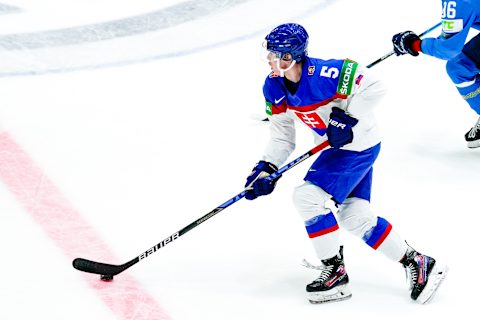 Simon Nemec of Slovakia. (Photo by Jari Pestelacci/Eurasia Sport Images/Getty Images)