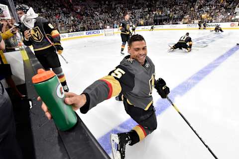 LAS VEGAS, NV – APRIL 16: Ryan Reaves #75 of the Vegas Golden Knights warms up prior to Game Four of the Western Conference First Round against the San Jose Sharks during the 2019 NHL Stanley Cup Playoffs at T-Mobile Arena on April 16, 2019 in Las Vegas, Nevada. (Photo by David Becker/NHLI via Getty Images)