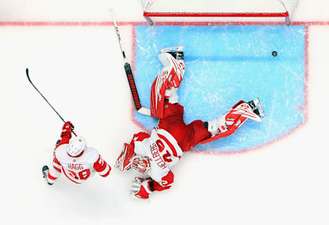 Detroit Red Wings, Magnus Hellberg #45. (Photo by Bruce Bennett/Getty Images)