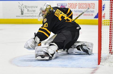 BRIDGEPORT, CT – OCTOBER 19: Dan Vladar #30 of the Providence Bruins makes a glove save during a game against the Bridgeport Sound Tigers at Webster Bank Arena on October 19, 2018 in Bridgeport, Connecticut. (Photo by Gregory Vasil/Getty Images)