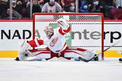 Alex Nedeljkovic making a great pad save. (Photo by Minas Panagiotakis/Getty Images)