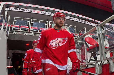 DETROIT, MI – OCTOBER 20: Mike Green #25 of the Detroit Red Wings walks out to the ice for warm-ups before an NHL game against the Washington Capitals at Little Caesars Arena on October 20, 2017, in Detroit, Michigan. The Capitals defeated the Red Wings 4-3 in overtime. (Photo by Dave Reginek/NHLI via Getty Images)