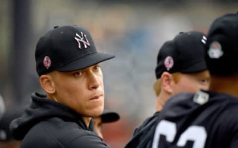 Yankee slugger Aaron Judge. (Photo by Mark Brown/Getty Images)