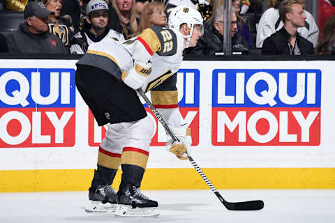 LOS ANGELES, CA – APRIL 6: Nick Holden #22 of the Vegas Golden Knights waits for play to resume during the third period of the game against the Los Angeles Kings at STAPLES Center on April 6, 2019 in Los Angeles, California. (Photo by Adam Pantozzi/NHLI via Getty Images)