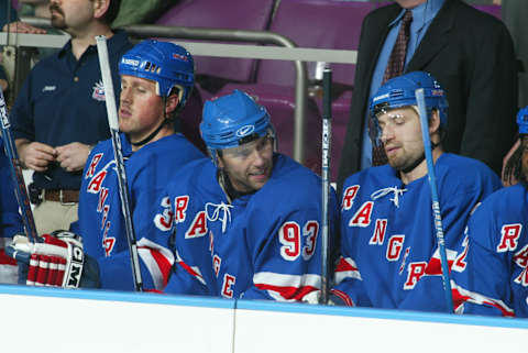 2004 Season: Player Petr Nedved of the New York Rangers. (Photo by Bruce Bennett Studios/Getty Images)