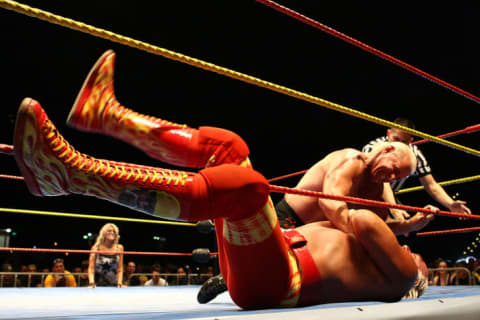 Hulk Hogan's Hulkmania tour in 2009