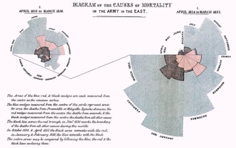 Florence Nightingale popularized pie charts as well as epidemiology.