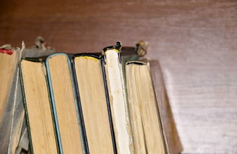 Row of old books lined up.