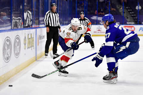 Nikita Gusev #97 of the Florida Panthers. (Photo by Douglas P. DeFelice/Getty Images)