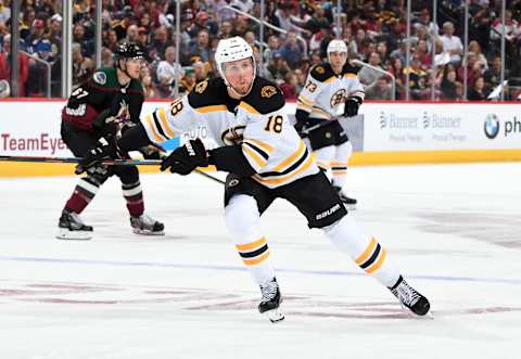 GLENDALE, ARIZONA – OCTOBER 05: Brett Ritchie #18 of the Boston Bruins skates up ice against the Arizona Coyotes at Gila River Arena on October 05, 2019 in Glendale, Arizona. (Photo by Norm Hall/NHLI via Getty Images)