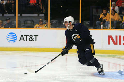 Nashville Predators defenseman Dante Fabbro (49) (Photo by Danny Murphy/Icon Sportswire via Getty Images)