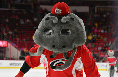 RALEIGH, NC – MARCH 18: Carolina Mudcats mascot skates between periods in a game between the Nashville Predators and the Carolina Hurricanes at the PNC Arena on March 18, 2017 in Raleigh, NC. Carolina defeated Nashville 4 – 2. (Photo by Greg Thompson/Icon Sportswire via Getty Images)