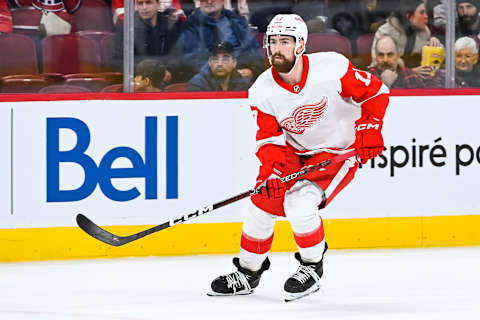 Detroit Red Wings defenseman Filip Hronek (17) against the Montreal Canadiens during the first period at Bell Centre. (David Kirouac-USA TODAY Sports)