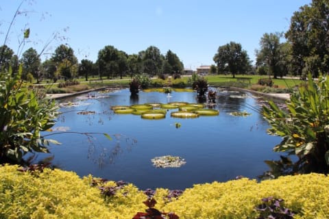 Forest Park is a perfectly serene picnic spot.