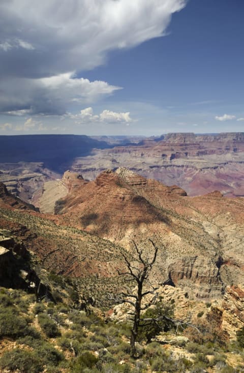 A desert view captured during a drive along Desert View Drive.