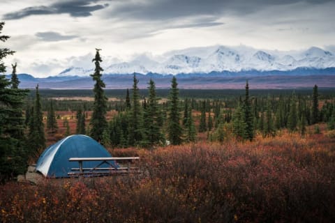 Not named "Wonder" Lake Campground for nothing.