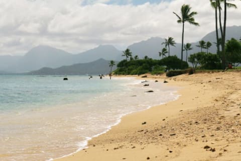 Kualoa Beach Park.