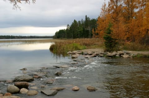 The headwaters of the Mississippi River are located in Itasca State Park.