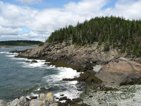 The rocky coast of Quoddy Head State Park