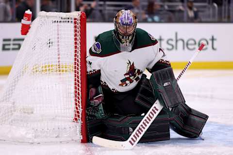 Karel Vejmelka #70 of the Arizona Coyotes. (Photo by Steph Chambers/Getty Images)