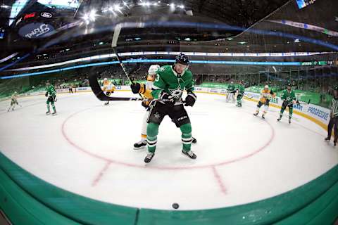 Dallas Stars (Photo by Ronald Martinez/Getty Images)