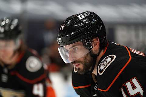 Anaheim Ducks center Adam Henrique (14) Mandatory Credit: Gary A. Vasquez-USA TODAY Sports