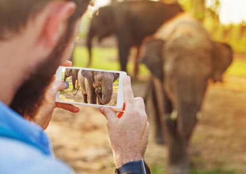 Man taking a photo of an elephant on his phone.