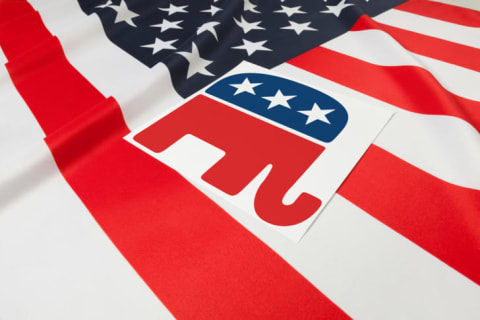 Elephant symbol for the Republican party.