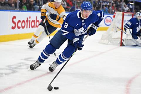 Toronto Maple Leafs defenseman Justin Holl (3): Dan Hamilton-USA TODAY Sports