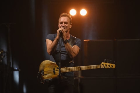 The musician Sting performing at a concert.