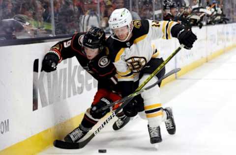 Jan 8, 2023; Anaheim, California, USA; Boston Bruins right wing Chris Wagner (14) and Anaheim Ducks right wing Troy Terry (19) battle for the puck during the second period at Honda Center. Mandatory Credit: Jason Parkhurst-USA TODAY Sports