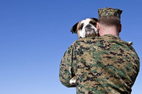 military man hugging a dog