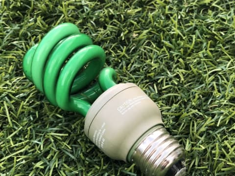 A green light bulb