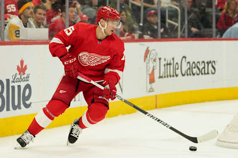 Detroit Red Wings left wing Jakub Vrana (15) skates with the puck during the third period against the Pittsburgh Penguins at Little Caesars Arena. (Raj Mehta-USA TODAY Sports)