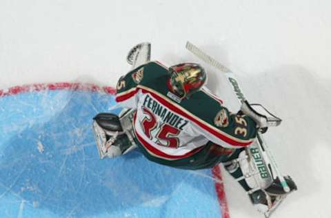 2004 Season: Player Manny Fernandez of the Minnesota Wild. (Photo by Bruce Bennett Studios/Getty Images)