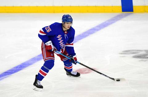 Libor Hajek #25 of the New York Rangers . (Photo by Emilee Chinn/Getty Images)