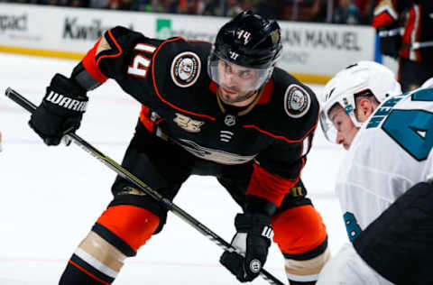 ANAHEIM, CA – OCTOBER 28: Adam Henrique #14 of the Anaheim Ducks battles in a face-off against Tomas Hertl #48 of the San Jose Sharks during the game on October 28, 2018, at Honda Center in Anaheim, California. (Photo by Debora Robinson/NHLI via Getty Images)