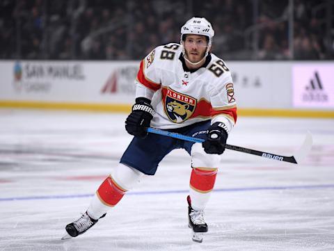 Mike Hoffman, Florida Panthers (Photo by Harry How/Getty Images)