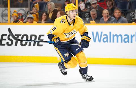 Nashville Predators (Photo by John Russell/NHLI via Getty Images)