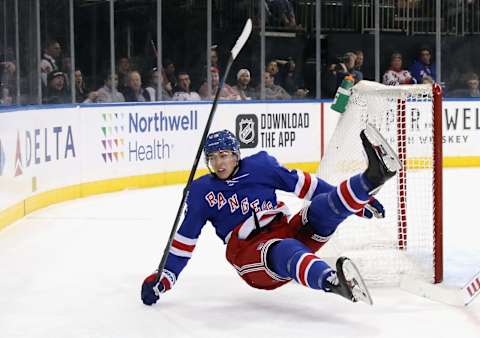 Libor Hajek #25 of the New York Rangers (Photo by Bruce Bennett/Getty Images)