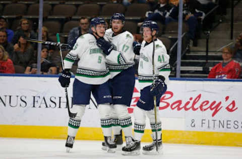 JACKSONVILLE, FL – APRIL 18: Florida Everblades players celebrate a goal during the game between the Florida Everblades and the Jacksonville Icemen on April 18, 2018 at the Vystar Veterans Memorial Arena in Jacksonville, Fl. (Photo by David Rosenblum/Icon Sportswire via Getty Images)