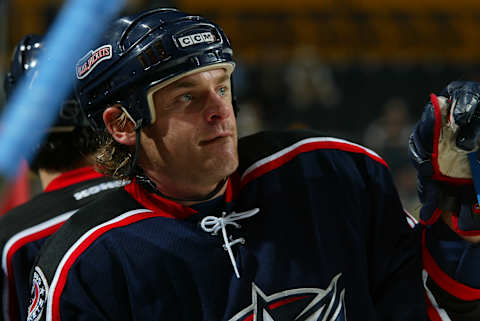 2004 Season: Player David Ling of the Columbus Blue Jackets. (Photo by Bruce Bennett Studios/Getty Images)