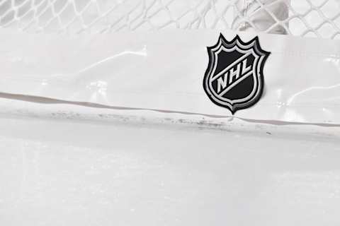 The NHL logo. (Photo by Minas Panagiotakis/Getty Images)