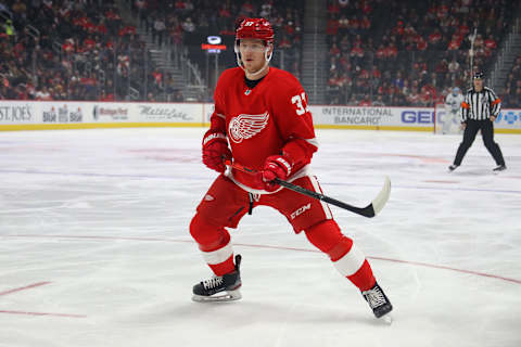 Evgeny Svechnikov, Detroit Red Wings (Photo by Gregory Shamus/Getty Images)